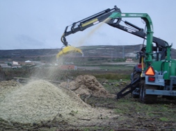 Biomassa com prazos alargados para acesso a incentivos
